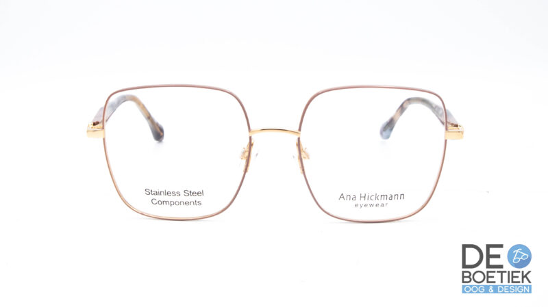 Ana Hickmann ah1556g 01a